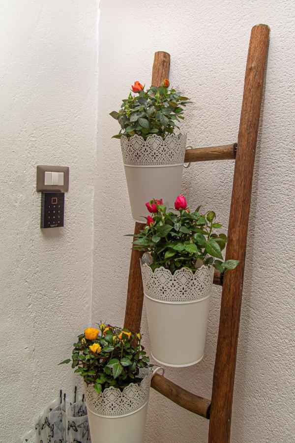 Il Palchetto B&B Di Charme E Design Palermo Luaran gambar